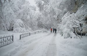 Харьков засыплет снегом: мэрия просит водителей не парковаться на обочинах