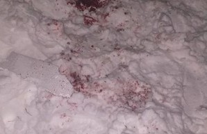 При попытке запустить фейерверк травмировался харьковчанин