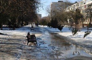 Туман и гололед: в Харькове ожидается нулевая температура