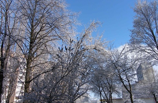 В Харьков возвращаются ночные  морозы: прогноз на выходные