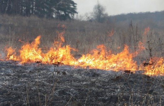 На Харьковщине случилось 27 пожаров из-за поджогов травы