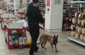 Новые случаи «минирования» в Харькове: проводится эвакуация с пяти объектов (Дополнено)