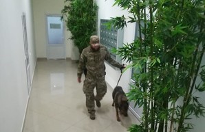 Очередное минирование в Харькове: ХНУ, гимназия и лицей