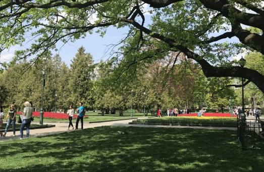 В саду Шевченко высадят 600 деревьев