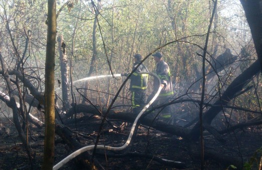 С начала года на Харьковщине произошел один лесной пожар