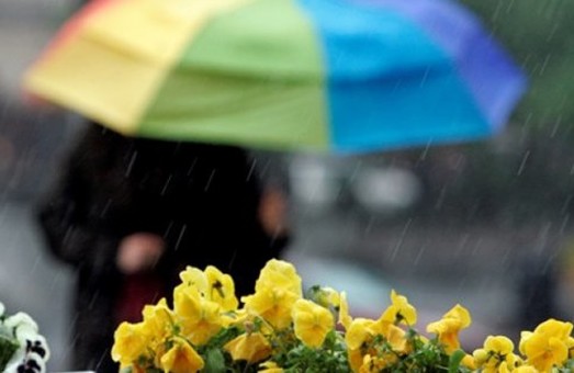 Дождь и грозы –  синоптики обещают харьковчанам теплую дождливую погоду на выходные