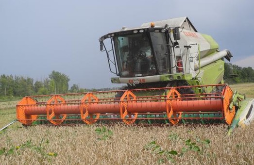 Светличная поздравила аграрием в первым миллионом тонн зерна нового урожая