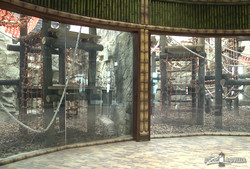 Суматранские орангутаны – первооткрыватели «Планеты Обезьян»: Харьковскому зоопарку передали животных из Франции (ФОТО, ВИДЕО)