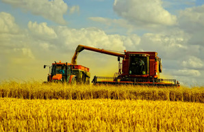 На Харьковщине уже собрано 2 млн тонн зерна