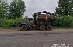 Харьковские полицейский продолжают отлавливать «черных лесорубов» (ФОТО)