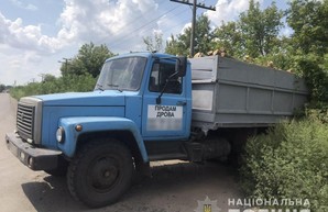 Под Харьковом задержали очередной грузовик с древесиной (ФОТО)