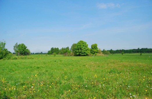Фермер оплатил 200 тысяч за самовольный захват земли