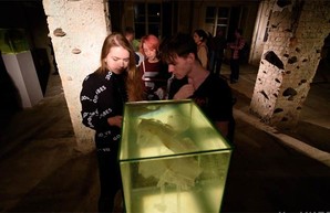 Необычный арт-объект Биеннале оценили харьковские экоинспекторы (ФОТО)