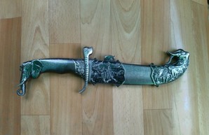 Житель Харьковщины вышел на прогулку с кинжалом