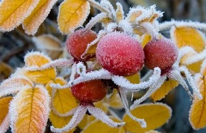 В Харьков идут первые заморозки