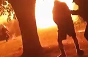 Пожар в Лозовой: горели гаражи и взорвался баллон с газом (ВИДЕО)