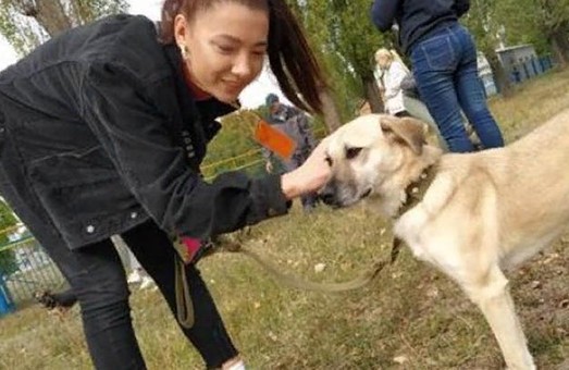 Харьковский приют для животных установил рекорд