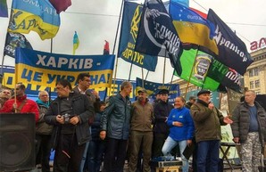 Протесты по стране. Харьков и другие города снова митинговали против «формулы Штайнмайера» (ФОТО, ВИДЕО)