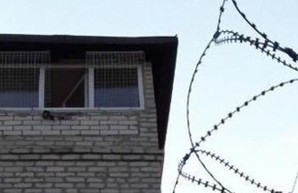 Необычные сухари пытались пронести в колонию на Харьковщине (ФОТО)