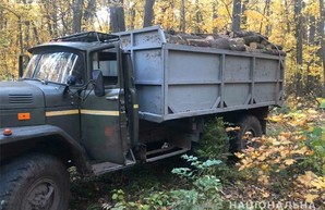 Леса Харьковщины снова атакуют «черные лесорубы» (ФОТО)