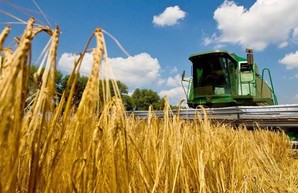 Харьковщина вышла в лидеры по сбору пшеницы