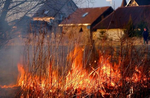 Жителю Харьковщины сосед случайно сжег пасеку