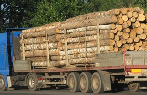 Беспредел силовиков? На Харьковщине СБУ и полицию заподозрили в сговоре