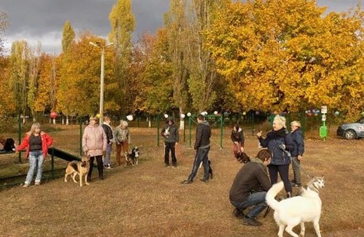 В Харькове стало больше места для выгула собак