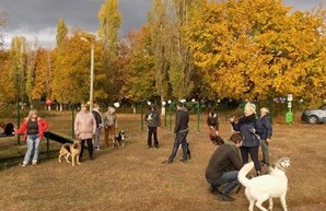 В Харькове стало больше места для выгула собак