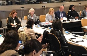 Светличная выступила на 74-й сессии Генеральной Ассамблеи ООН