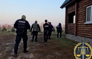 Еще один лесхоз на Харьковщине подозревают в масштабной вырубке дубов