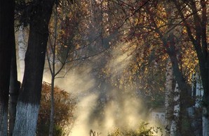 Харьковчане дышат опасным воздухом