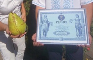 Фрукт рекордных размеров вырос на Харьковщине (ФОТО)