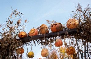 «ЗомбиFest» в харьковском парке Горького: программа