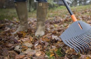 Не там припарковался: харьковский дворник «отключил» водителя лопатой