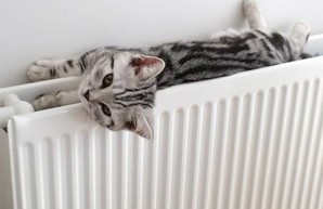 Неделя отопительного сезона: где в Харькове уже потеплело