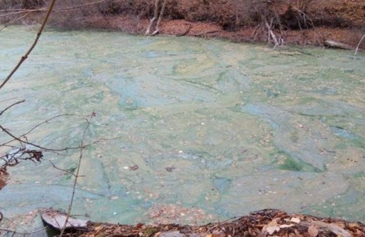 Купальный сезон отменяется. Озеро под Харьковом залили нечистотами (ФОТО)