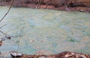 Купальный сезон отменяется. Озеро под Харьковом залили нечистотами (ФОТО)