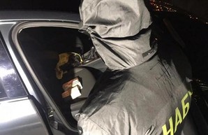 Глава лесхоза на Харьковщине хотел подкупить детектива НАБУ: подробности