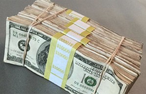 Перестарался: глава лесхоза на Харьковщине принес взятку больше, чем нужно