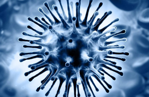 Впервые в эпидсезоне на Харьковщине обнаружили свиной грипп