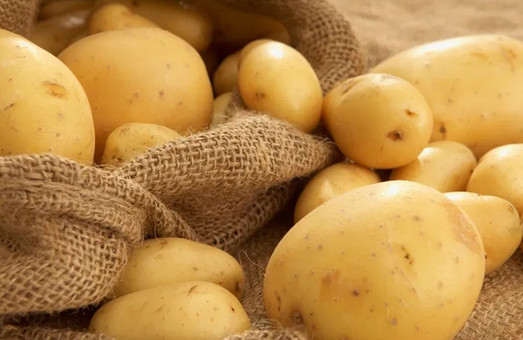 Харьковские пограничники не пустили тонны российского картофеля