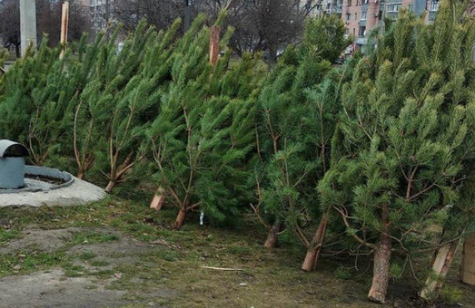 Декабрь в Харькове бьет погодные рекорды