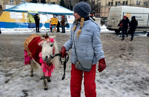 Харьковчане жалуются Кернесу на лошадей в центре города
