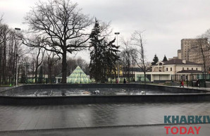 В саду Шевченко открыли доступ к фонтану: ремонт продолжат весной (ФОТО)