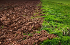 Прокуратура намерена отсудить у фермера землю за 4 миллиона