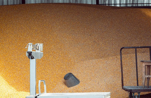 Нетрезвого рабочего засыпало зерном: что решил суд по делу ЧП на элеваторе