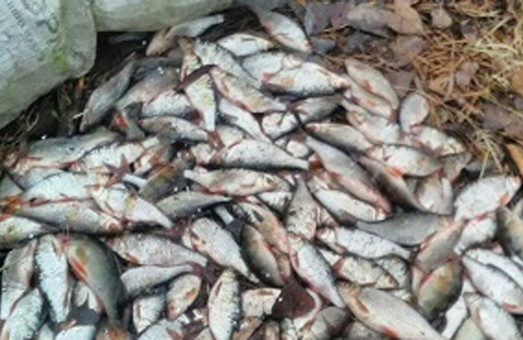 Браконьер на Харьковщине наловил рыбы на 6 тысяч гривен (ФОТО)