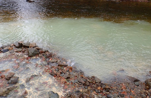 Экологов не пустили на завод, который обвиняют в загрязнении реки Мерла