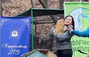 Харьковский байбак Тимка рассказал, когда наступит весна